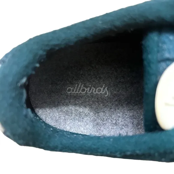ALLBIRDS Wool Runners in Calm Teal Green Size 11 — Men’s