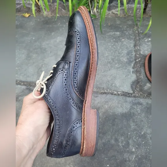Allen Edmonds  Alumnus wingtip  oxford  shoes