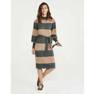 Ann Taylor Sweater Dress Striped Turtleneck Beige Green NWT $150