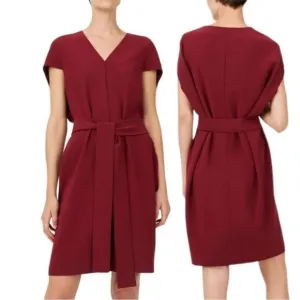 Club Monaco Vanellie Dress in Burgundy 4