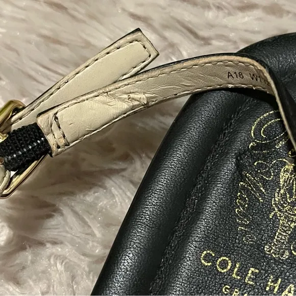 COLE HAAN black lobster sandals with gold studs