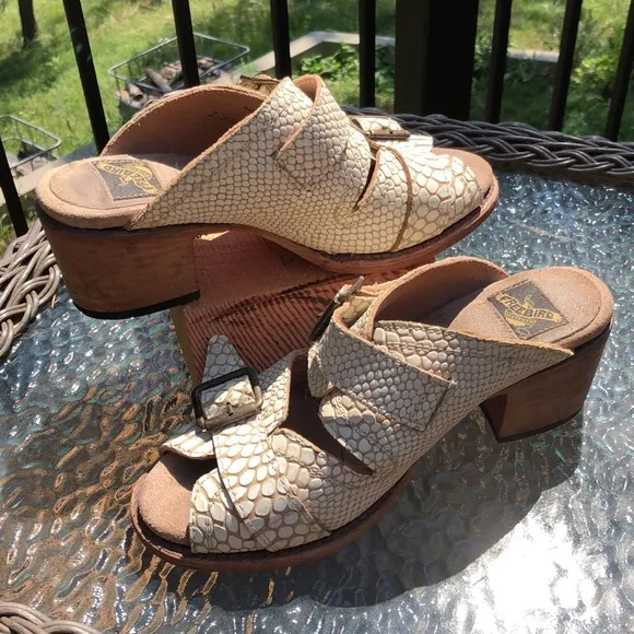 Freebird Caprice sandals