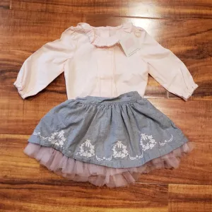 Janie and Jack NWT/EUC pink pintuck collared blouse and ballet embroidered skirt