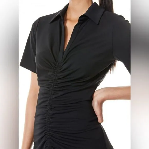 NEW Alice   Olivia Marsha Ruched Polo Tee Dress