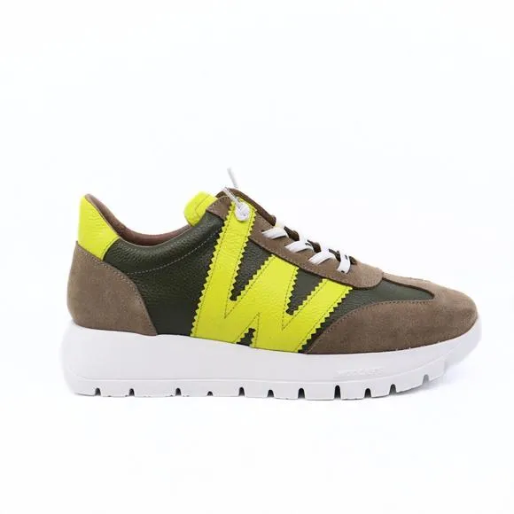 NEW WONDERS women's trend cyber sneakers in taupe