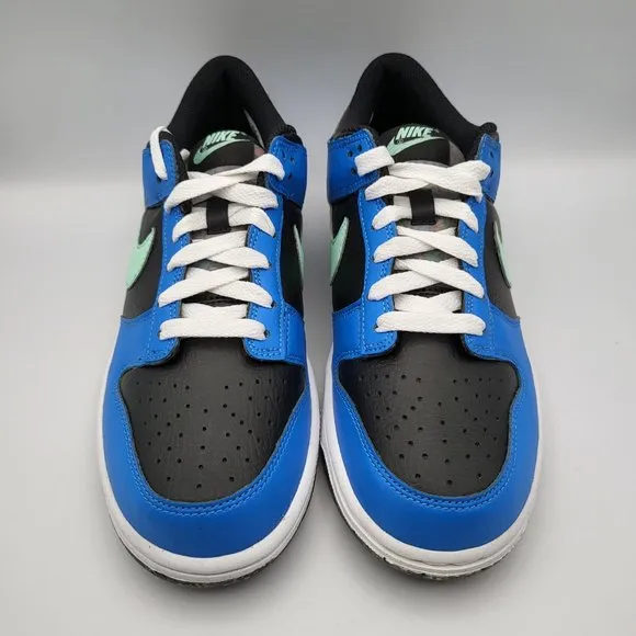 NEW Youth 7 / Women's 8.5 Nike Dunk Low Special Edition - DR0165-001