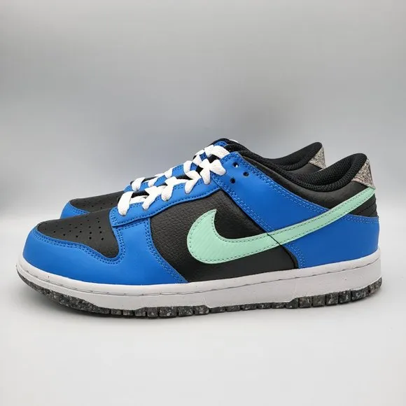 NEW Youth 7 / Women's 8.5 Nike Dunk Low Special Edition - DR0165-001