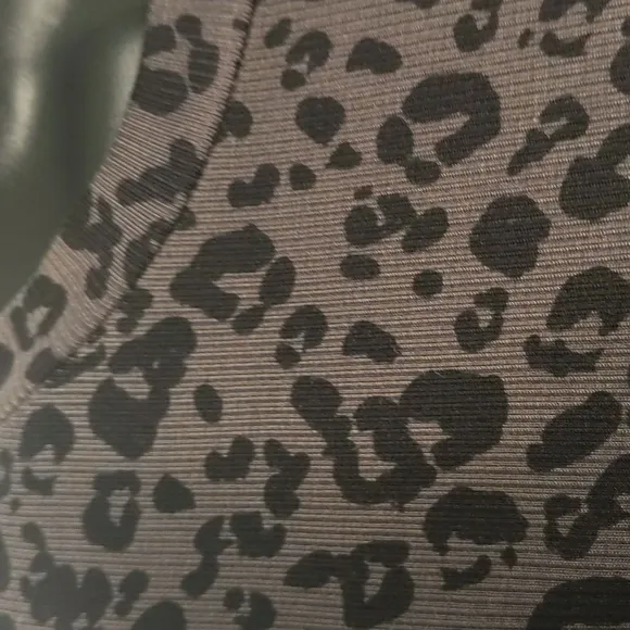 NWT~ CARBON38 Leopard Print Ribbed Dress