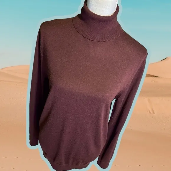 Reiss ‘Caine’ 100% Merino Wool Roll Neck Jumper in “Rust” Size Medium