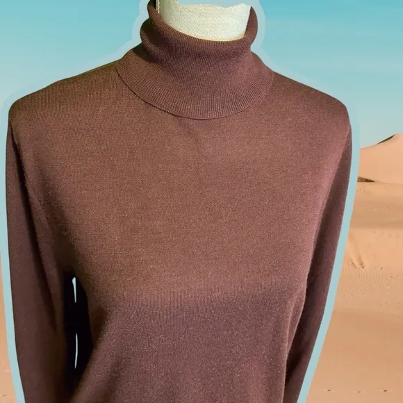 Reiss ‘Caine’ 100% Merino Wool Roll Neck Jumper in “Rust” Size Medium