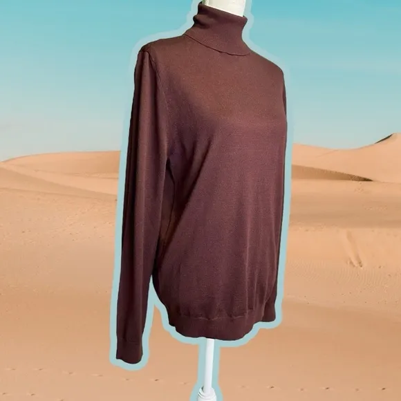 Reiss ‘Caine’ 100% Merino Wool Roll Neck Jumper in “Rust” Size Medium