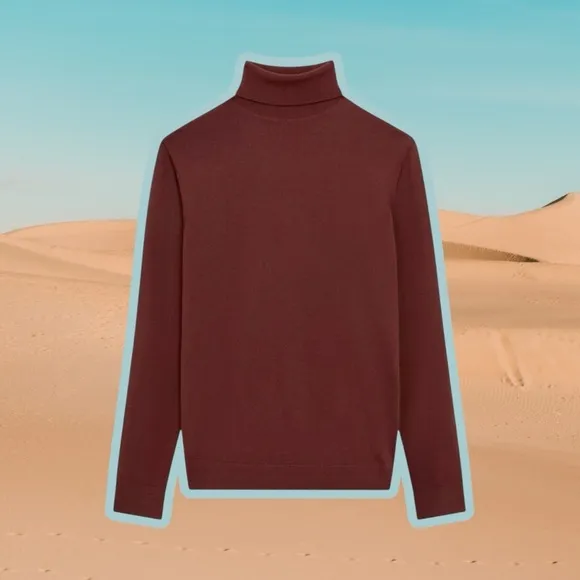 Reiss ‘Caine’ 100% Merino Wool Roll Neck Jumper in “Rust” Size Medium