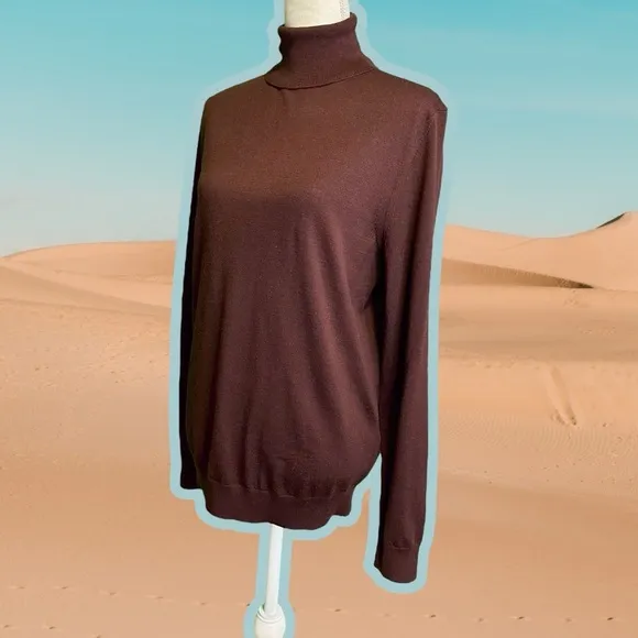 Reiss ‘Caine’ 100% Merino Wool Roll Neck Jumper in “Rust” Size Medium