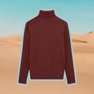 Reiss ‘Caine’ 100% Merino Wool Roll Neck Jumper in “Rust” Size Medium