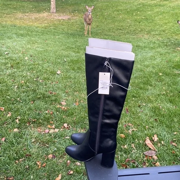 Women's Ridley Tall Dress Boots - A NewDay Black 9.5